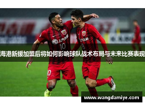 海港新援加盟后将如何影响球队战术布局与未来比赛表现