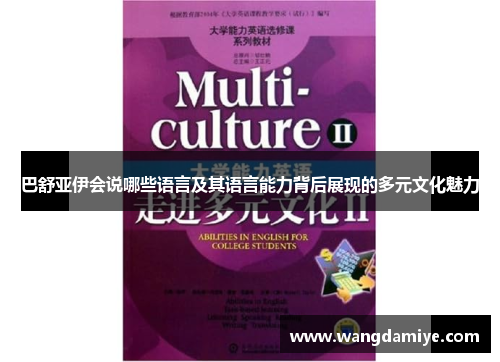 巴舒亚伊会说哪些语言及其语言能力背后展现的多元文化魅力