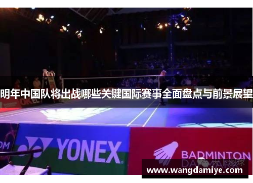 明年中国队将出战哪些关键国际赛事全面盘点与前景展望